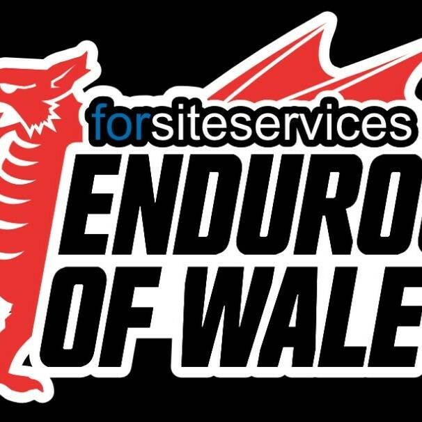 manual override of alt text