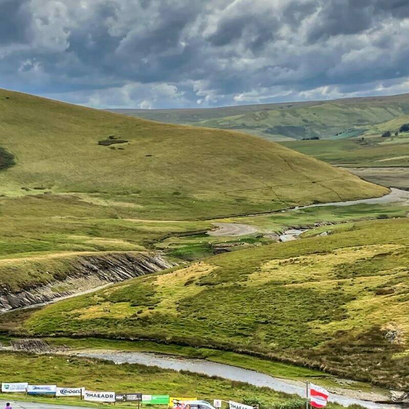 manual override of alt text