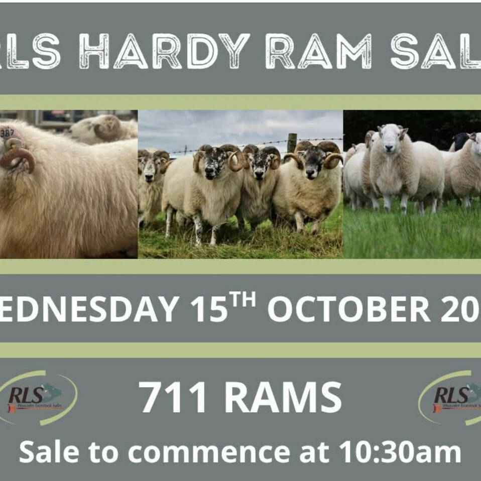 manual override of alt text