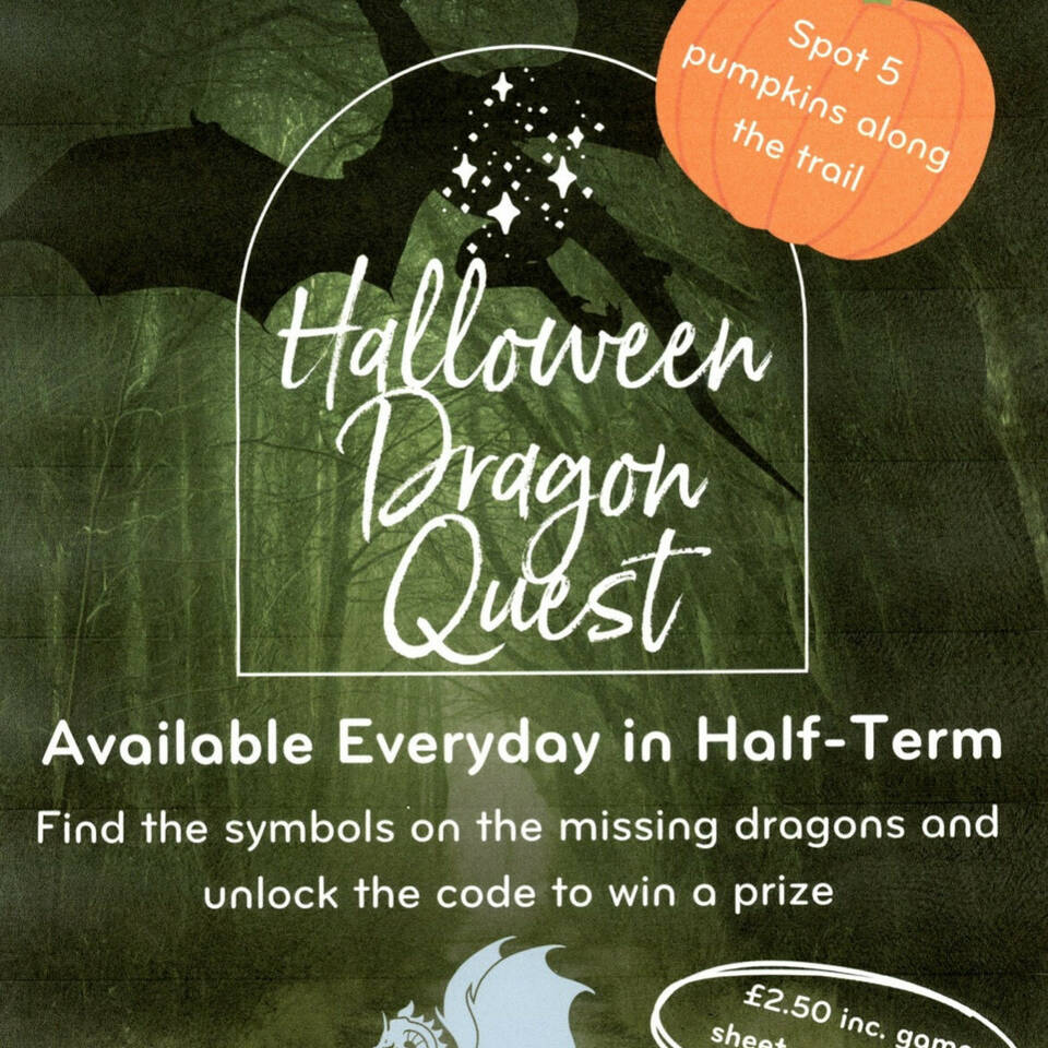 manual override of alt text