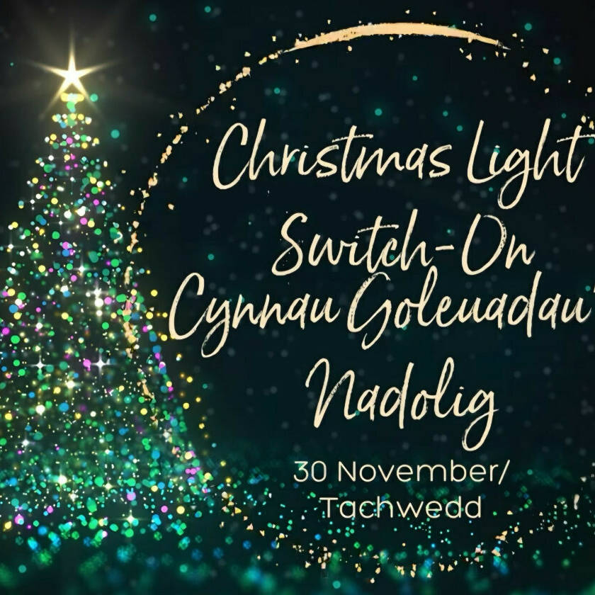 manual override of alt text