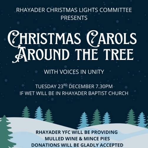 manual override of alt text