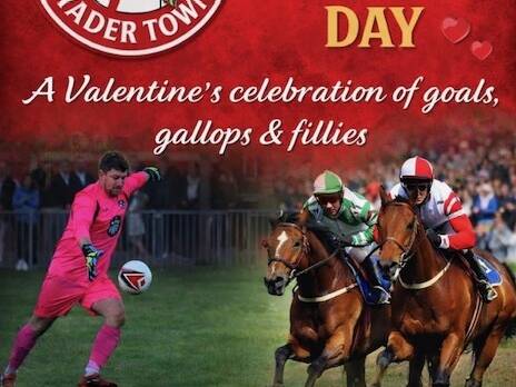 manual override of alt text