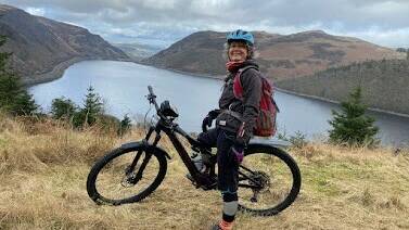 manual override of alt text