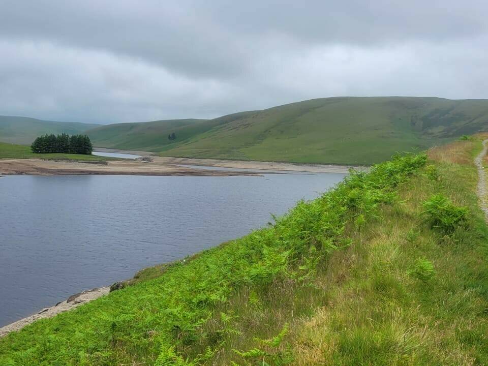 manual override of alt text