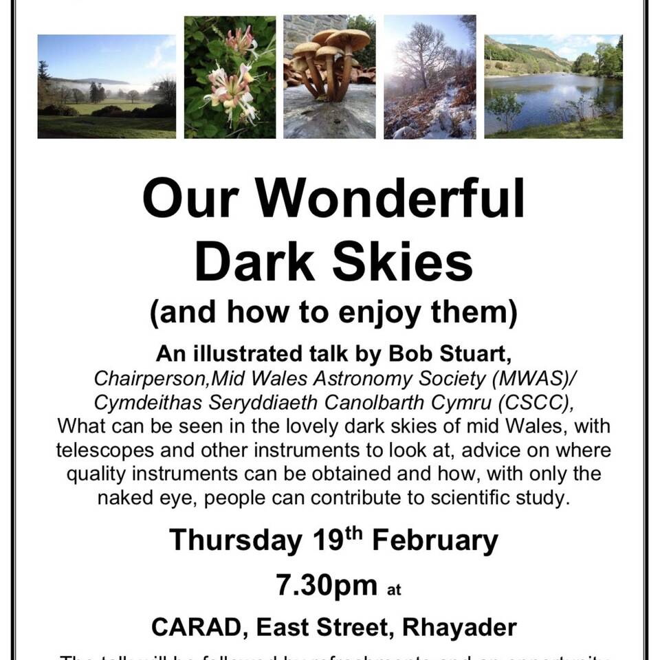 manual override of alt text