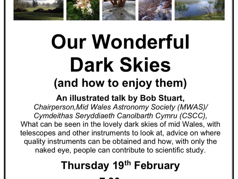 manual override of alt text