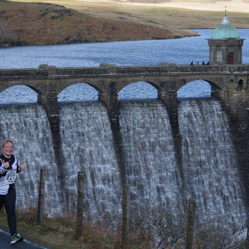 manual override of alt text