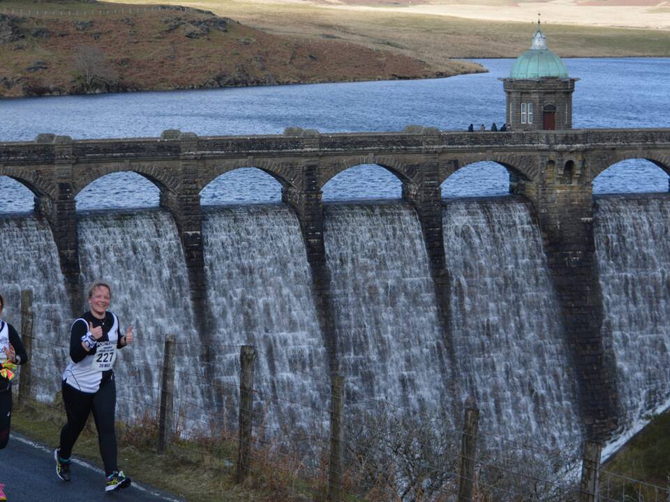 manual override of alt text