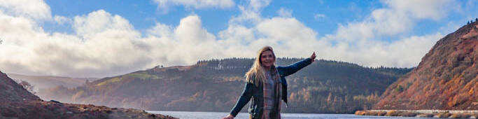 manual override of alt text