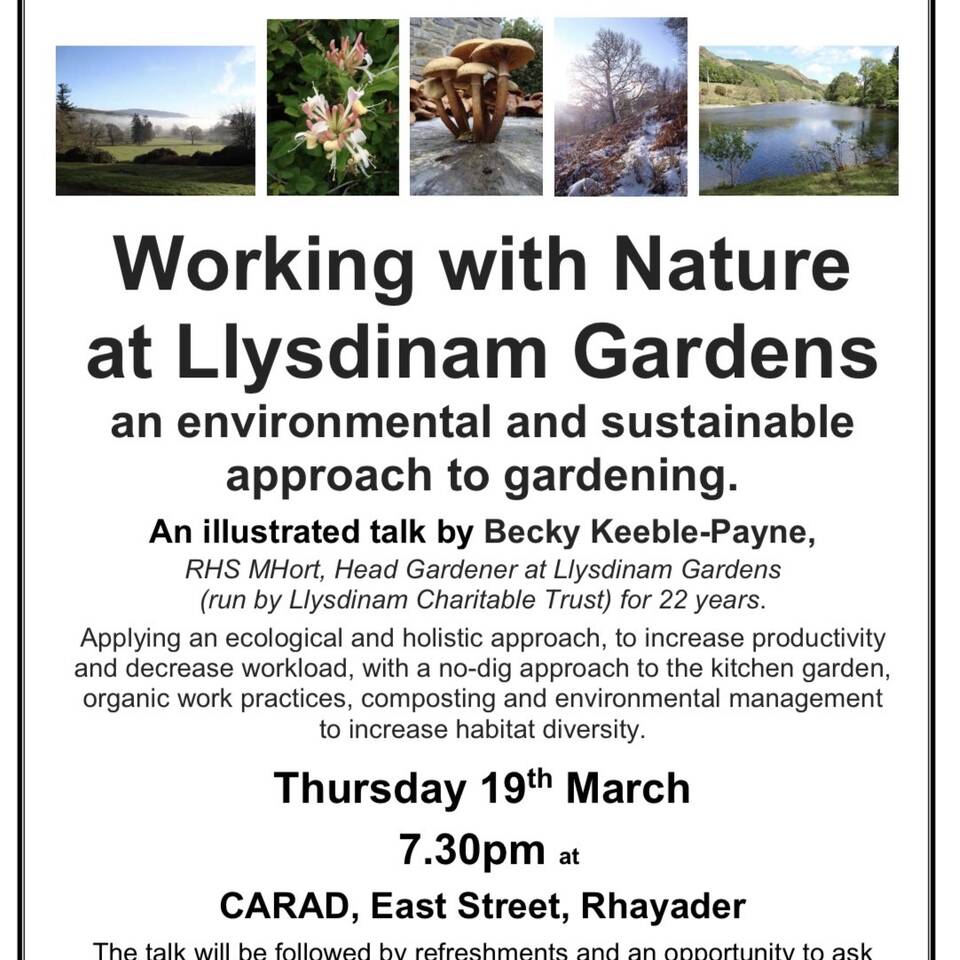 manual override of alt text