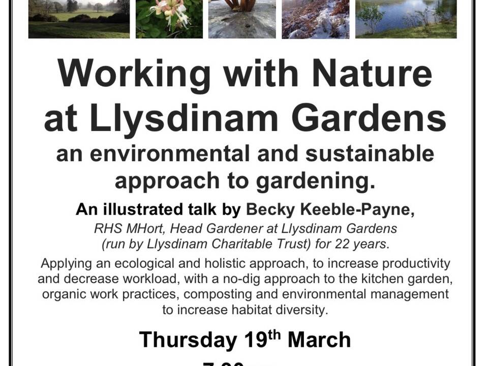 manual override of alt text