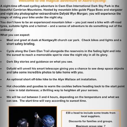 manual override of alt text