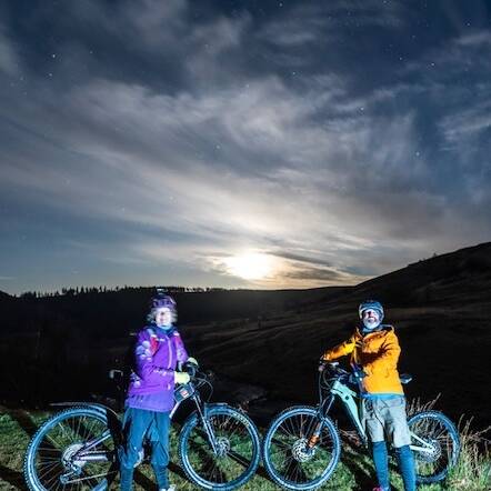 manual override of alt text