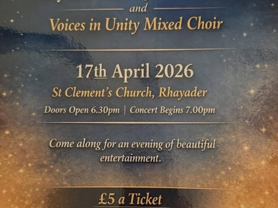 manual override of alt text